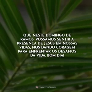 Que neste Domingo de Ramos, possamos sentir a presença de Jesus em nossas vidas, nos dando coragem para enfrentar os desafios da vida. Bom dia!
