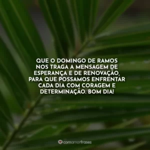 Que o Domingo de Ramos nos traga a mensagem de esperança e de renovação, para que possamos enfrentar cada dia com coragem e determinação. Bom dia!
