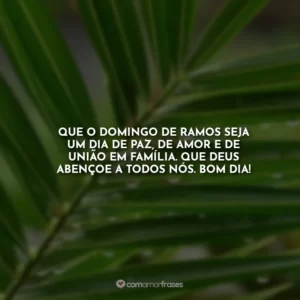 Que o Domingo de Ramos seja um dia de paz, de amor e de união em família. Que Deus abençoe a todos nós. Bom dia!