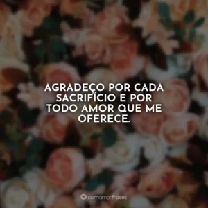 Agradeço por cada sacrifício e por todo amor que me oferece.