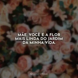 Mãe, você é a flor mais linda do jardim da minha vida.