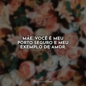 Mãe, você é meu porto seguro e meu exemplo de amor.