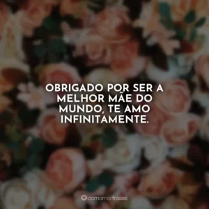 Obrigado por ser a melhor mãe do mundo, te amo infinitamente.