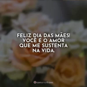 Feliz Dia das Mães! Você é o amor que me sustenta na vida.