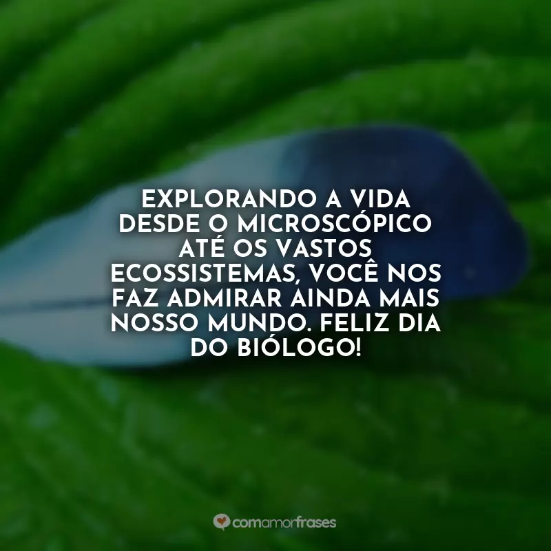 Frases Dia do Biólogo: Explorando a vida desde o microscópico até os vastos ecossistemas, você nos faz admirar ainda mais nosso mundo. Feliz Dia do Biólogo!