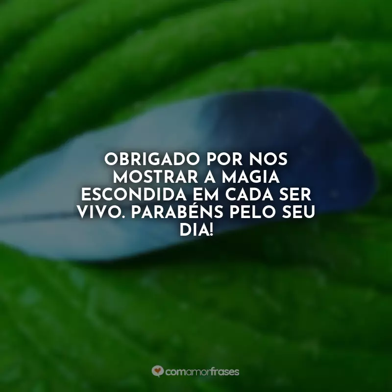 Frases Feliz Dia do Biólogo: Obrigado por nos mostrar a magia escondida em cada ser vivo. Parabéns pelo seu dia!