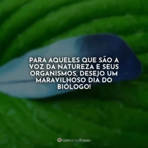 Para aqueles que são a voz da natureza e seus organismos, desejo um maravilhoso Dia do Biólogo!