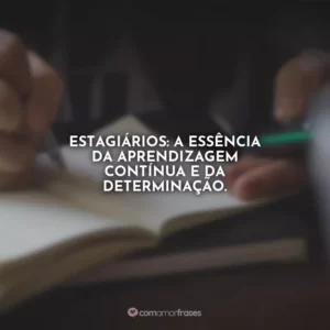 Estagiários: a essência da aprendizagem contínua e da determinação.