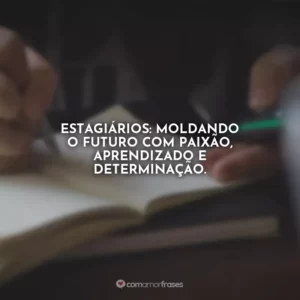 Estagiários: moldando o futuro com paixão, aprendizado e determinação.