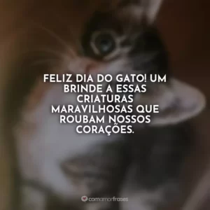 Feliz Dia do Gato! Um brinde a essas criaturas maravilhosas que roubam nossos corações.