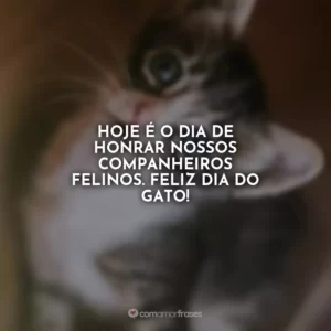 Hoje é o dia de honrar nossos companheiros felinos. Feliz Dia do Gato!