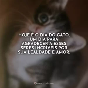 Hoje é o Dia do Gato, um dia para agradecer a esses seres incríveis por sua lealdade e amor.