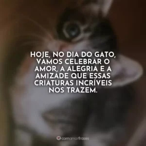 Hoje, no Dia do Gato, vamos celebrar o amor, a alegria e a amizade que essas criaturas incríveis nos trazem.