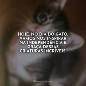 Hoje, no Dia do Gato, vamos nos inspirar na independência e graça dessas criaturas incríveis.
