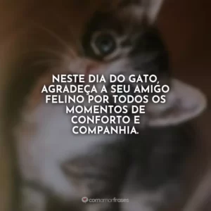 Neste Dia do Gato, agradeça a seu amigo felino por todos os momentos de conforto e companhia.