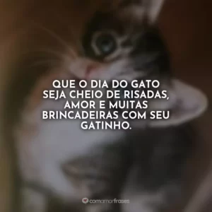 Que o Dia do Gato seja cheio de risadas, amor e muitas brincadeiras com seu gatinho.