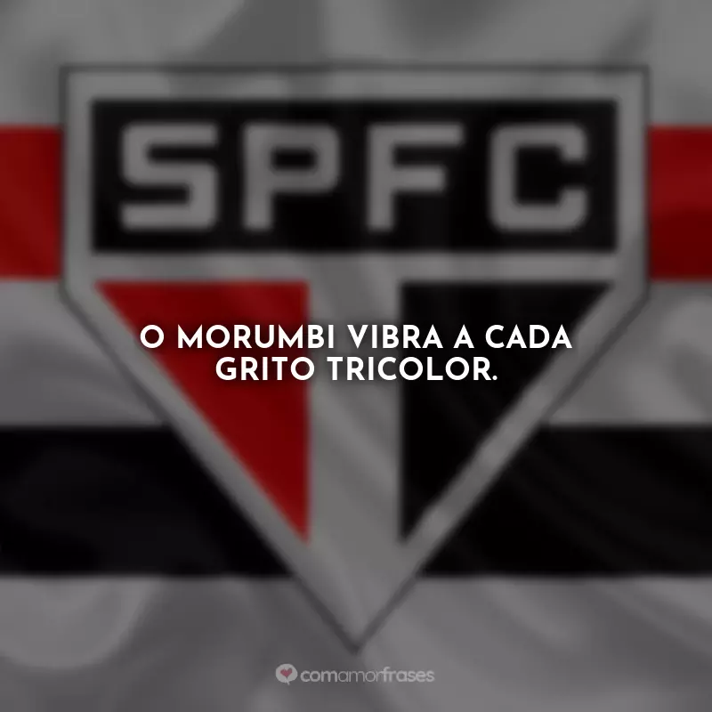 Frases do São Paulo: O Morumbi vibra a cada grito tricolor.