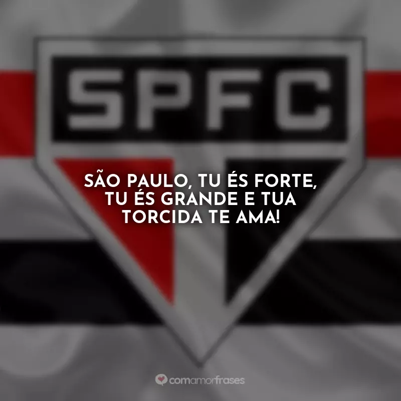 Frases São Paulo na vitória ou na derrota: São Paulo, tu és forte, tu és grande e tua torcida te ama!