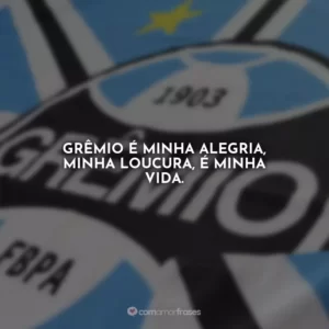 Grêmio é minha alegria, minha loucura, é minha vida.