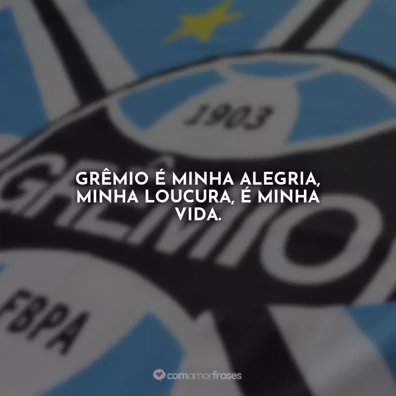 Frases Grêmio: Grêmio é minha alegria, minha loucura, é minha vida.