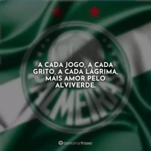 A cada jogo, a cada grito, a cada lágrima, mais amor pelo alviverde.