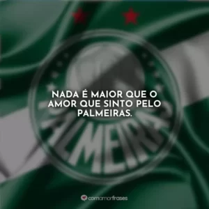 Nada é maior que o amor que sinto pelo Palmeiras.
