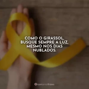 Como o girassol, busque sempre a luz, mesmo nos dias nublados.