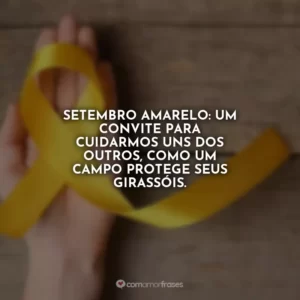 Setembro Amarelo: um convite para cuidarmos uns dos outros, como um campo protege seus girassóis.