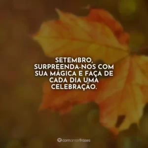 Setembro, surpreenda-nos com sua mágica e faça de cada dia uma celebração.