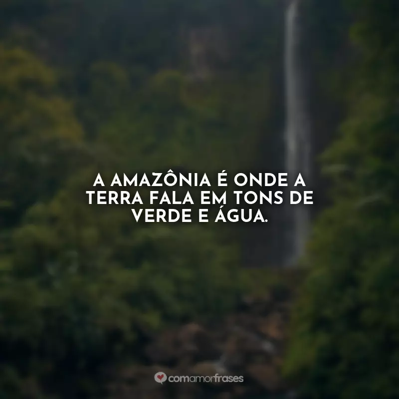 Frases Dia da Amazônia: A Amazônia é onde a Terra fala em tons de verde e água.