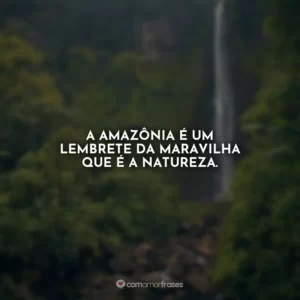 A Amazônia é um lembrete da maravilha que é a natureza.