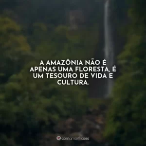A Amazônia não é apenas uma floresta, é um tesouro de vida e cultura.