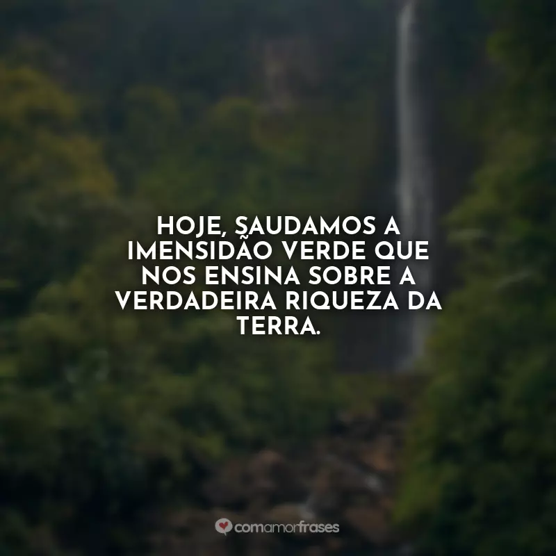 Frases do Dia da Amazônia: Hoje, saudamos a imensidão verde que nos ensina sobre a verdadeira riqueza da Terra.