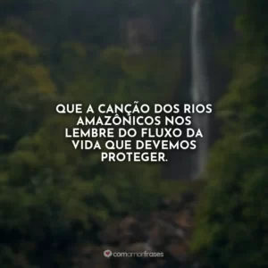 Que a canção dos rios amazônicos nos lembre do fluxo da vida que devemos proteger.