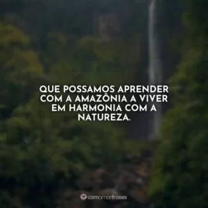 Que possamos aprender com a Amazônia a viver em harmonia com a natureza.