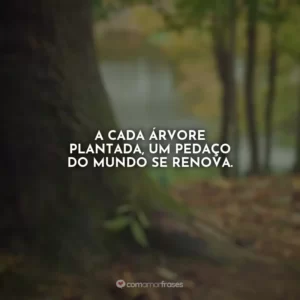 A cada árvore plantada, um pedaço do mundo se renova.