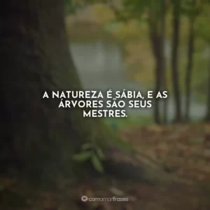 A natureza é sábia, e as árvores são seus mestres.