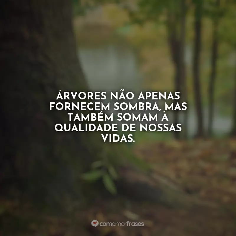 Frases do Dia da Árvore: Árvores não apenas fornecem sombra, mas também somam à qualidade de nossas vidas.