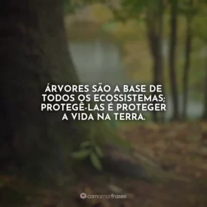 Árvores são a base de todos os ecossistemas; protegê-las é proteger a vida na Terra.
