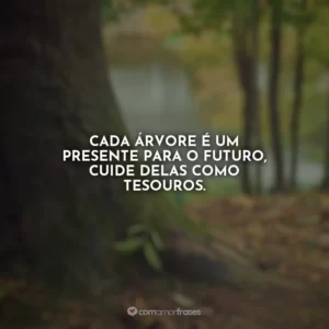Cada árvore é um presente para o futuro, cuide delas como tesouros.