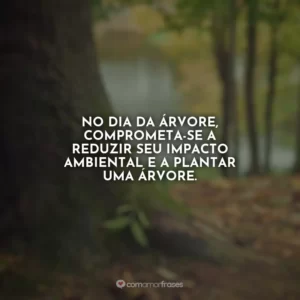No Dia da Árvore, comprometa-se a reduzir seu impacto ambiental e a plantar uma árvore.