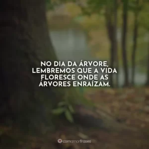 No Dia da Árvore, lembremos que a vida floresce onde as árvores enraízam.