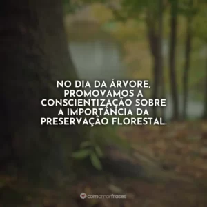 No Dia da Árvore, promovamos a conscientização sobre a importância da preservação florestal.