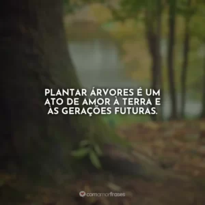 Plantar árvores é um ato de amor à Terra e às gerações futuras.