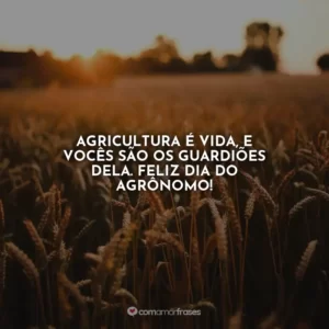 Agricultura é vida, e vocês são os guardiões dela. Feliz Dia do Agrônomo!