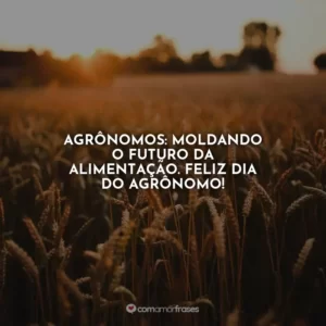 Agrônomos: moldando o futuro da alimentação. Feliz Dia do Agrônomo!