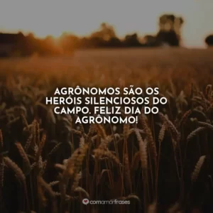 Agrônomos são os heróis silenciosos do campo. Feliz Dia do Agrônomo!