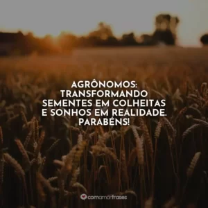 Agrônomos: transformando sementes em colheitas e sonhos em realidade. Parabéns!