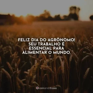 Feliz Dia do Agrônomo! Seu trabalho é essencial para alimentar o mundo.