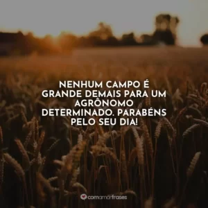 Nenhum campo é grande demais para um agrônomo determinado. Parabéns pelo seu dia!